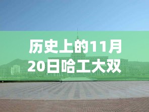 哈工大雙一流最新消息及歷史進展詳解，獲取全攻略與重要進展回顧