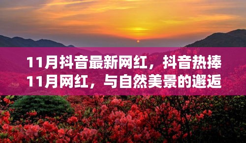 抖音熱捧的11月網(wǎng)紅，與自然美景的邂逅與內(nèi)心寧?kù)o之旅