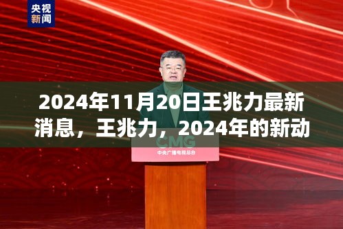 王兆力最新動向與時(shí)代印記，2024年展望