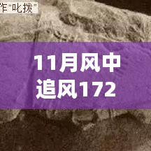 揭秘，風(fēng)中追風(fēng)最新裝備的時代地位與影響，逐風(fēng)而行，價值高達(dá)172萬裝備重磅登場！