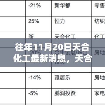 天合化工最新動(dòng)態(tài)解讀，產(chǎn)品特性、用戶體驗(yàn)與目標(biāo)用戶分析揭秘