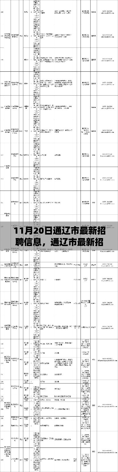 通遼市最新招聘信息概覽，職場(chǎng)人的福音（11月20日更新）