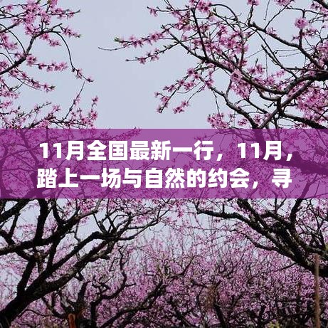 11月踏自然之旅，內(nèi)心的桃花源探尋記