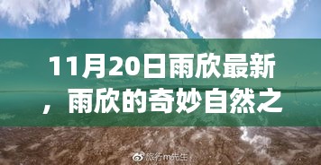 雨欣的11月20日奇妙探險(xiǎn)，自然之旅尋找心靈寧?kù)o與笑聲