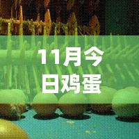 11月雞蛋價(jià)格最新行情解析，多方觀點(diǎn)交織的思考