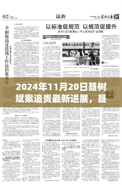 聶樹斌案追責最新進展深度解析，2024年11月20日追責進展及評測