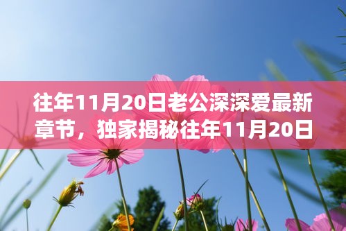 往年11月20日老公深情與高科技融合，全新智能伴侶揭秘，顛覆想象！