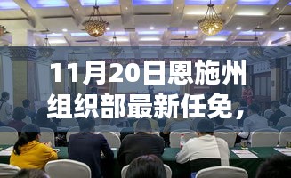 恩施州組織部最新任免動態(tài)解析及用戶群體分析，特性、體驗與競品對比報告