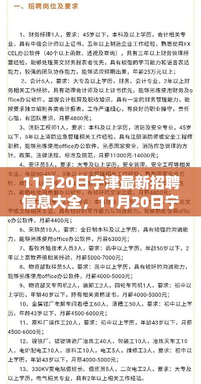 11月20日寧津最新招聘信息匯總，全面解讀招聘平臺(tái)特性與體驗(yàn)