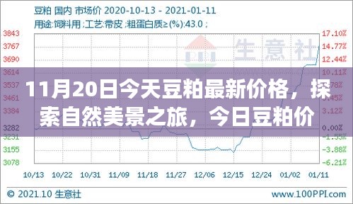 啟程尋找內(nèi)心平和，今日豆粕最新價格與自然美景之旅的寧靜故事