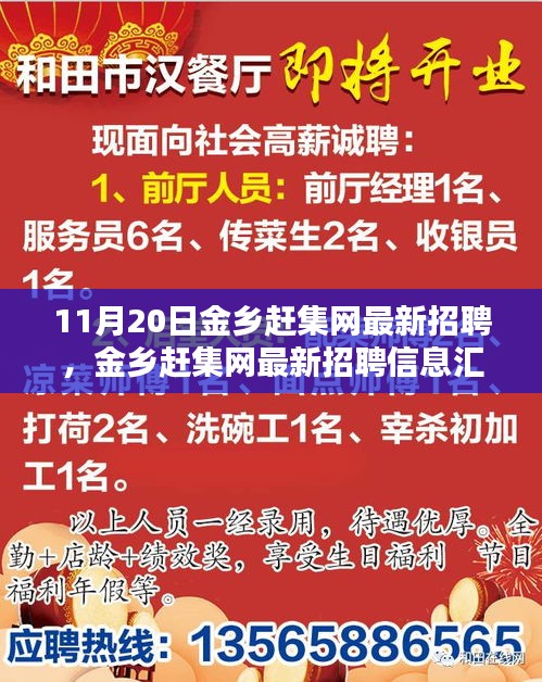 11月20日金鄉(xiāng)趕集網(wǎng)最新招聘匯總，熱點崗位解析與招聘信息