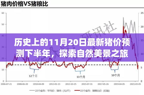 歷史上的11月20日豬價預(yù)測與心靈寧靜尋覓之旅，自然美景探索