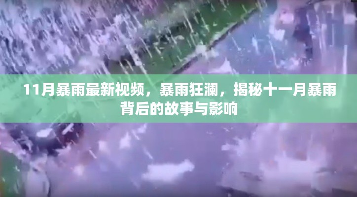 揭秘十一月暴雨背后的故事與影響，暴雨狂瀾最新視頻報道