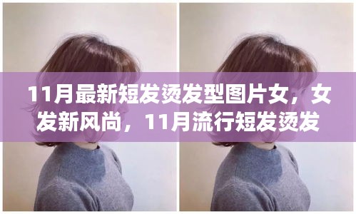 11月流行女發(fā)短燙發(fā)，全新風(fēng)尚與全攻略圖片欣賞