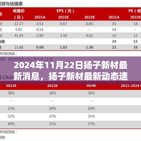 2024年11月22日揚子新材最新消息，揚子新材最新動態(tài)速遞，2024年11月22日的三大看點