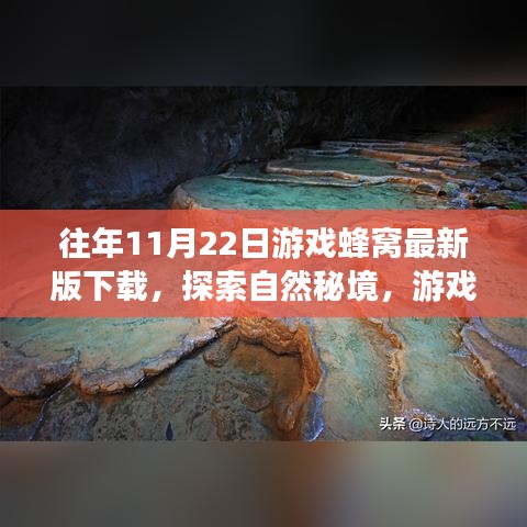 游戲蜂窩帶你探索自然秘境，最新下載，心靈平靜之旅