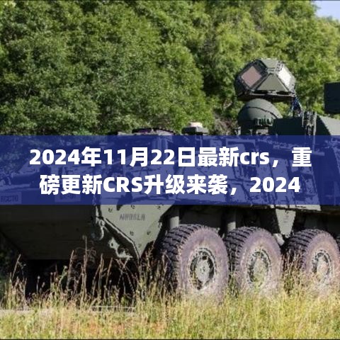 重磅更新CRS升級來襲，解讀最新政策與應(yīng)對策略，2024年CRS新動向解析