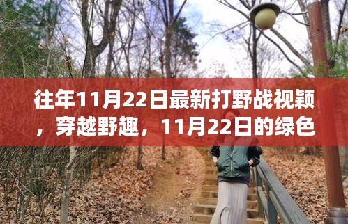 往年11月22日最新打野戰(zhàn)視穎，穿越野趣，11月22日的綠色冒險之旅，尋找內心的寧靜與平和