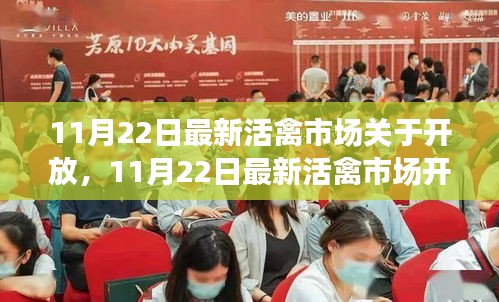 11月22日活禽市場開放動態(tài)，復(fù)蘇與機(jī)遇的挑戰(zhàn)