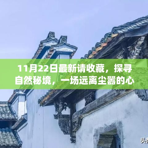 11月22日探尋自然秘境之旅，心靈啟程，珍藏美好瞬間