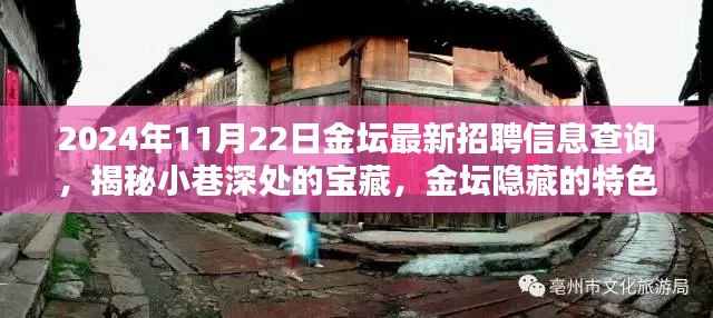 揭秘金壇隱藏特色小店與最新招聘信息奇遇記，2024年11月22日金壇招聘信息深度查詢