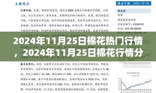 棉花行情深度解析，從入門到精通——2024年11月25日棉花行情指南