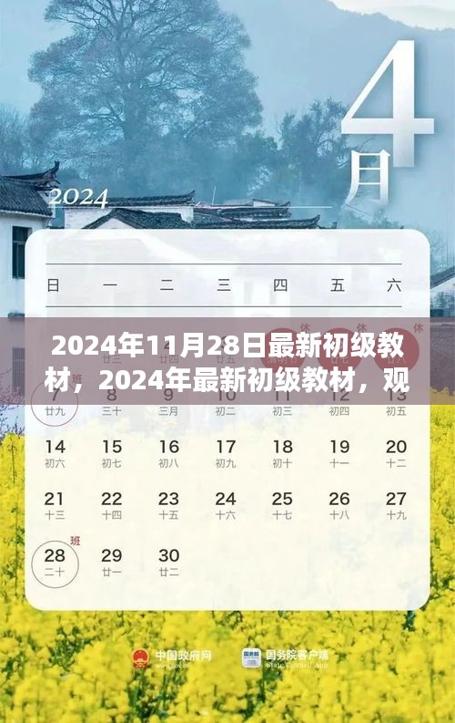 觀點闡述與深度分析，最新初級教材深度解讀（2024年最新版）