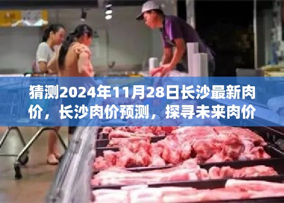 探尋長沙未來肉價走勢，預測長沙肉價至2024年11月28日最新趨勢分析