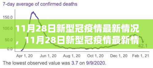 全面評測與深度解析，11月28日新冠疫情最新情況