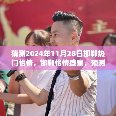 2024年11月28日邯鄲怡情盛景預(yù)測與回顧，城市脈動揭秘