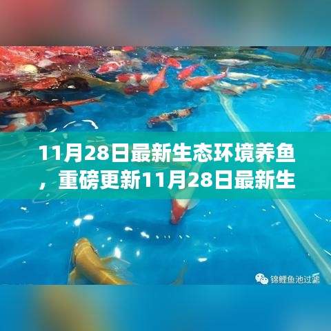 揭秘最新生態(tài)環(huán)境養(yǎng)魚秘籍，打造生態(tài)魚池新境界！