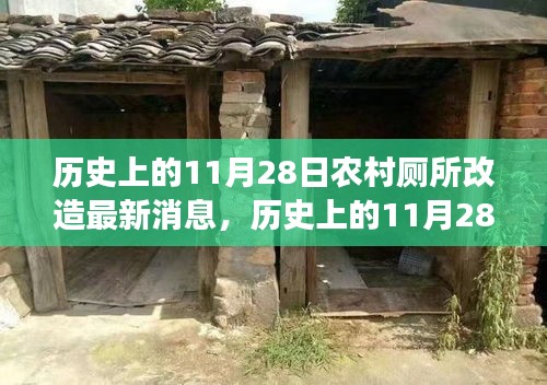 歷史上的11月28日，農(nóng)村廁所改造背后的勵志故事與變革力量最新消息