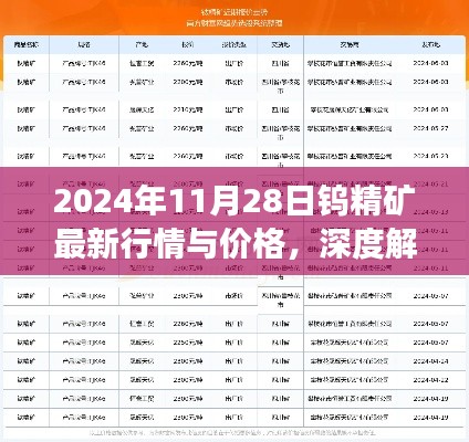 深度解析，2024年11月28日鎢精礦最新行情與價(jià)格展望