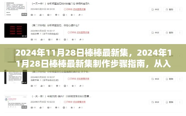 2024年11月28日棒棒最新集制作指南，從入門到精通