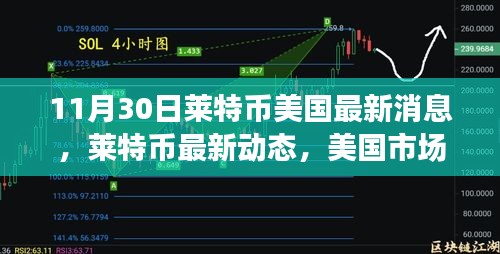 萊特幣美國最新動態(tài)分析，市場趨勢下的正反觀點探討（11月30日）