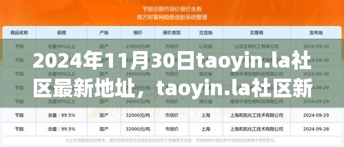 2024年11月30日taoyin.la社區(qū)新址展望，機遇與挑戰(zhàn)并存