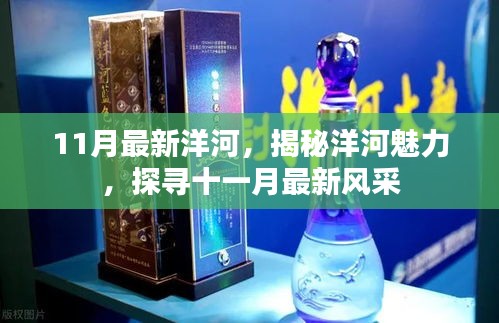 揭秘洋河魅力，十一月最新風(fēng)采展示