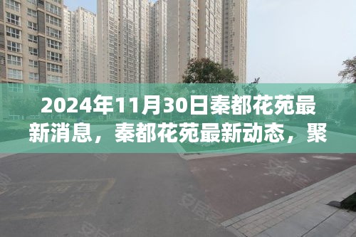 秦都花苑最新動態(tài)揭曉，2024年11月30日的最新消息與觀點爭議聚焦