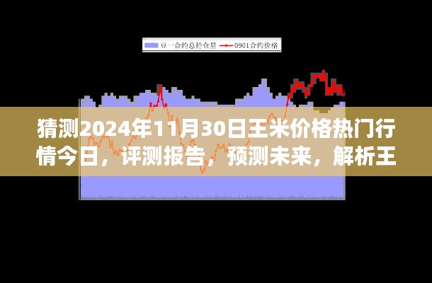 獨家解析，王米價格行情預(yù)測至2024年11月30日，今日熱門行情與未來展望評測報告