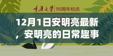 安明亮日常趣事，溫馨時光回顧，12月1日的精彩瞬間