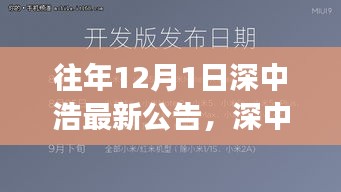 深中浩歷年公告深度解析，背景、事件與領域地位回顧之最新公告解讀