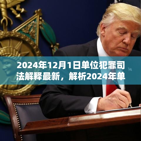 深度解析，2024年單位犯罪司法解釋最新動態(tài)及三大要點探討