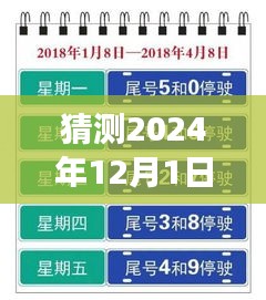 上海未來(lái)限行猜想，高架暢想曲與暖心故事，展望2024年12月的新規(guī)定