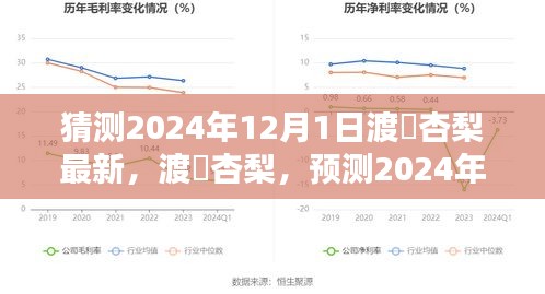 渡辺杏梨2024年12月1日全新風(fēng)采預(yù)測(cè)