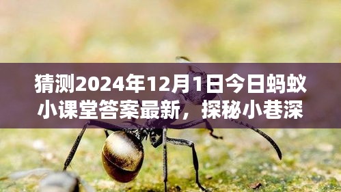 探秘螞蟻小課堂答案背后的神秘小店，2024年12月1日小巷深處的獨特風(fēng)味揭曉