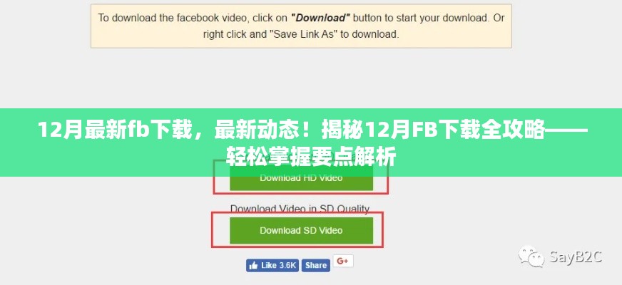 揭秘，最新動(dòng)態(tài)下的FB下載全攻略，輕松掌握要點(diǎn)解析