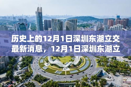 深圳東湖立交新進(jìn)展，自然美景的心靈之旅啟程日紀(jì)念報(bào)道