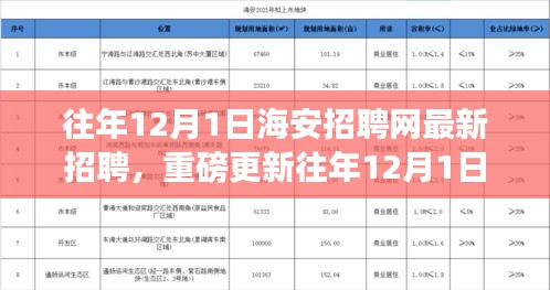 往年12月1日海安招聘網(wǎng)最新職位信息揭秘，求職者福音