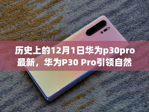 華為P30 Pro引領(lǐng)自然探索之旅，一場(chǎng)歷史與科技的奇妙旅程（最新資訊）