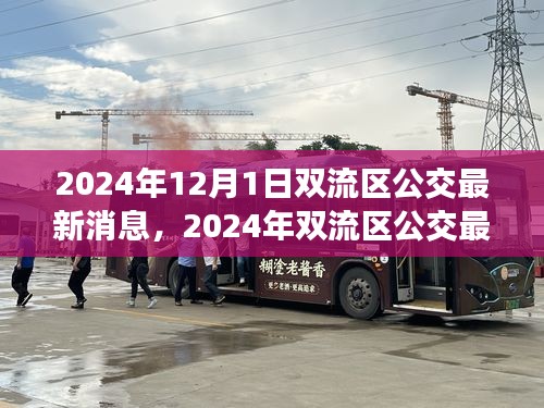 2024年雙流區(qū)公交最新消息詳解，獲取與使用公交服務(wù)的全面指南